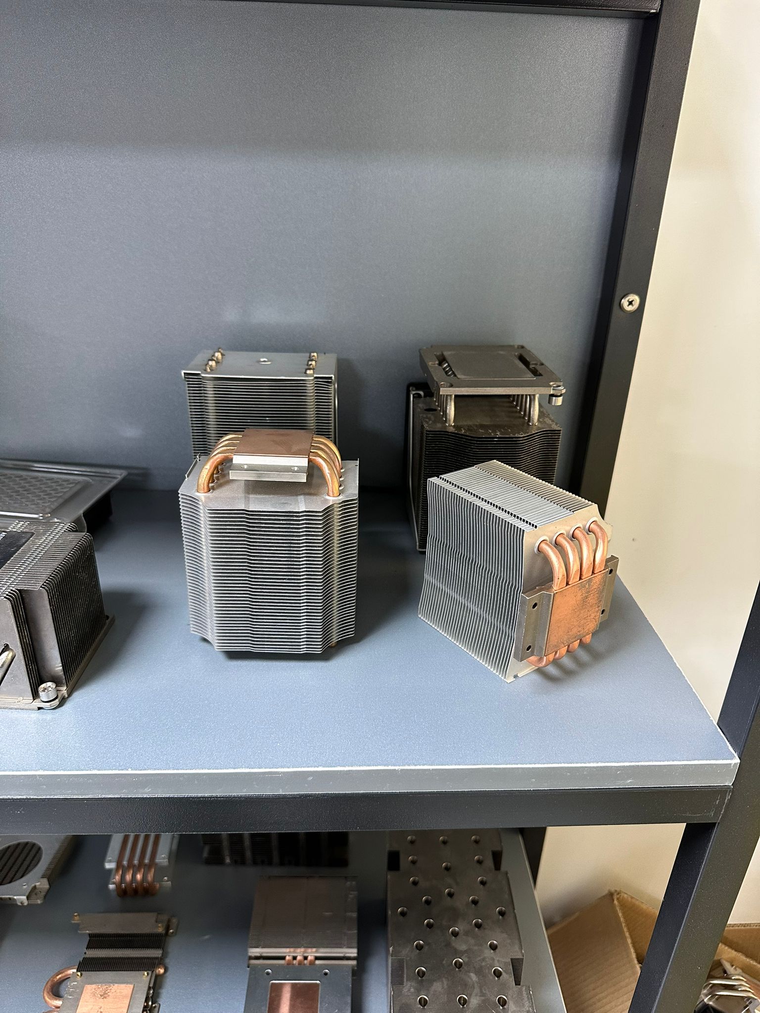 WhatsApp Image 2025-10-03 at 15.46.50 (1)